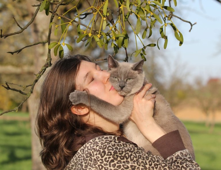 Wieso miaut meine Katze ständig und was kann ich dagegen tun?